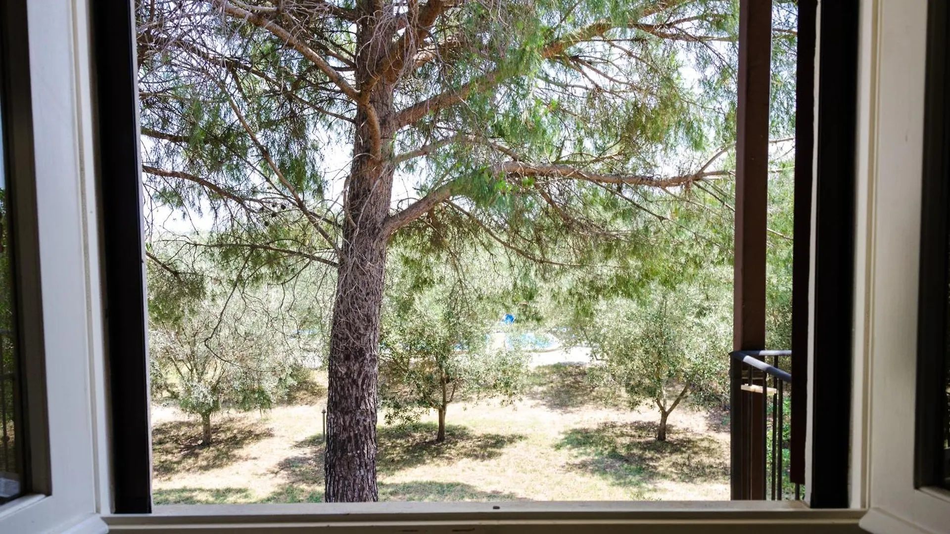 Agriturismo La Fragolaia Marina di Grosseto Włochy
