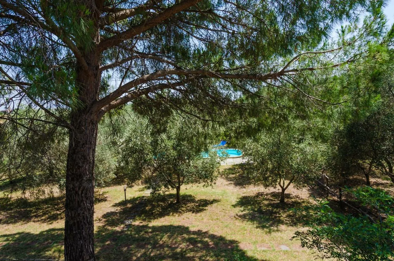 Agriturismo La Fragolaia Marina di Grosseto Gospodarstwo agroturystyczne